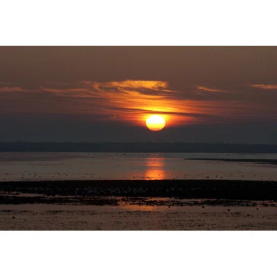 Sunset In Donana by Jesue92 - Wrapped Canvas Photograph | Wayfair North America