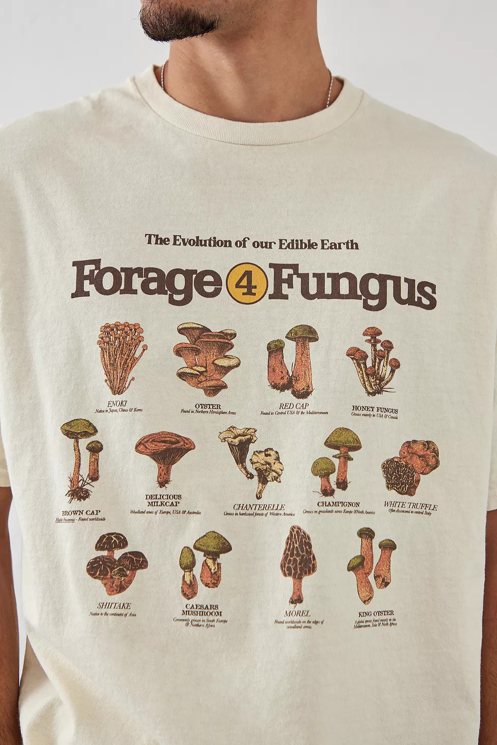 UO Ecru Forage For Fungus T-Shirt | Urban Outfitters (EU)