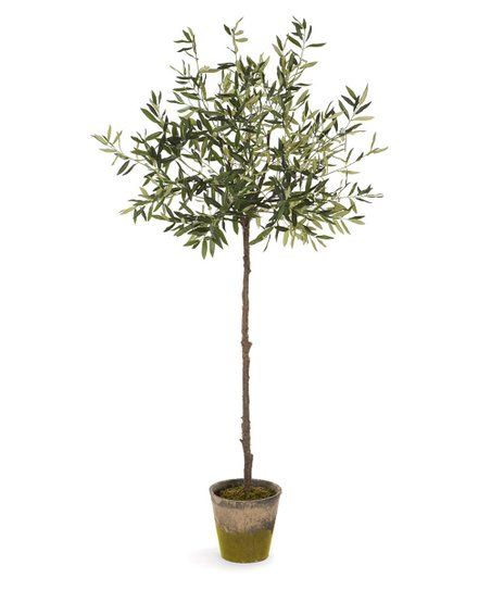 Porch & Petal Faux Potted Olive Tree | Zulily