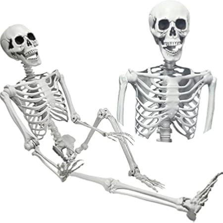 Hitish 5.6ft Halloween Life Size Skeleton, Realistic Full Body Skeleton Human Bones with Posable Joi | Amazon (US)