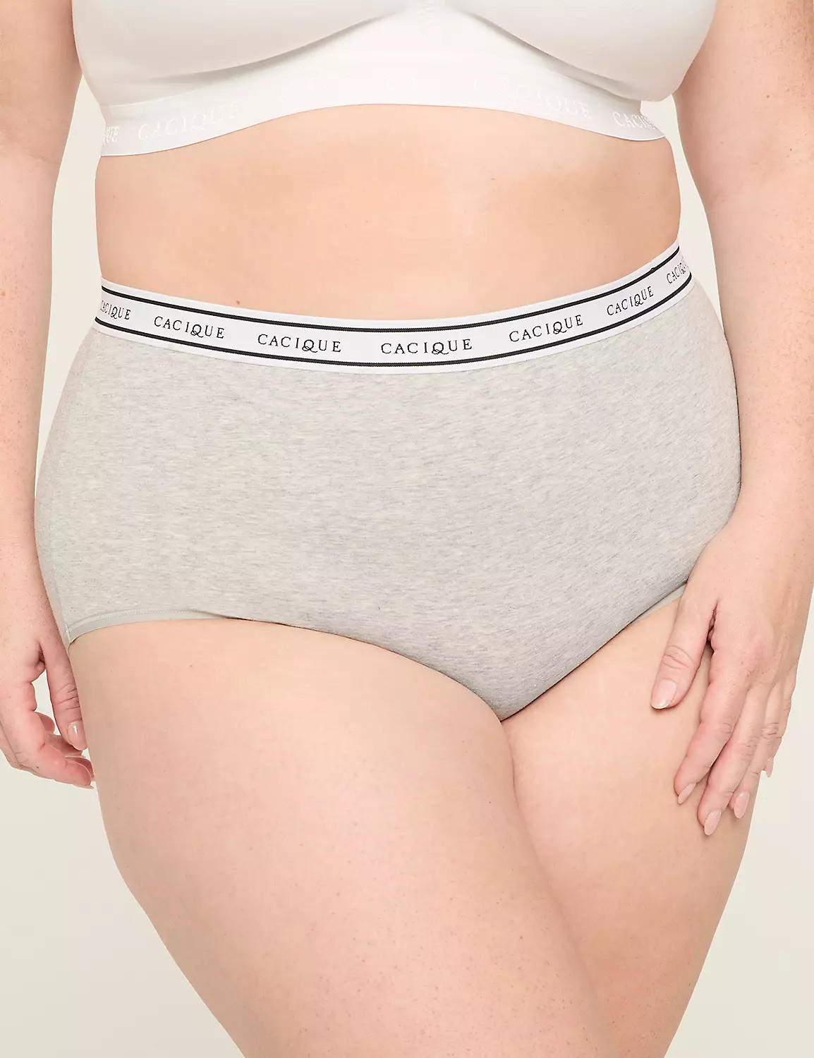 Cotton Full Brief Panty With Wide Waistband | Lane Bryant (US)