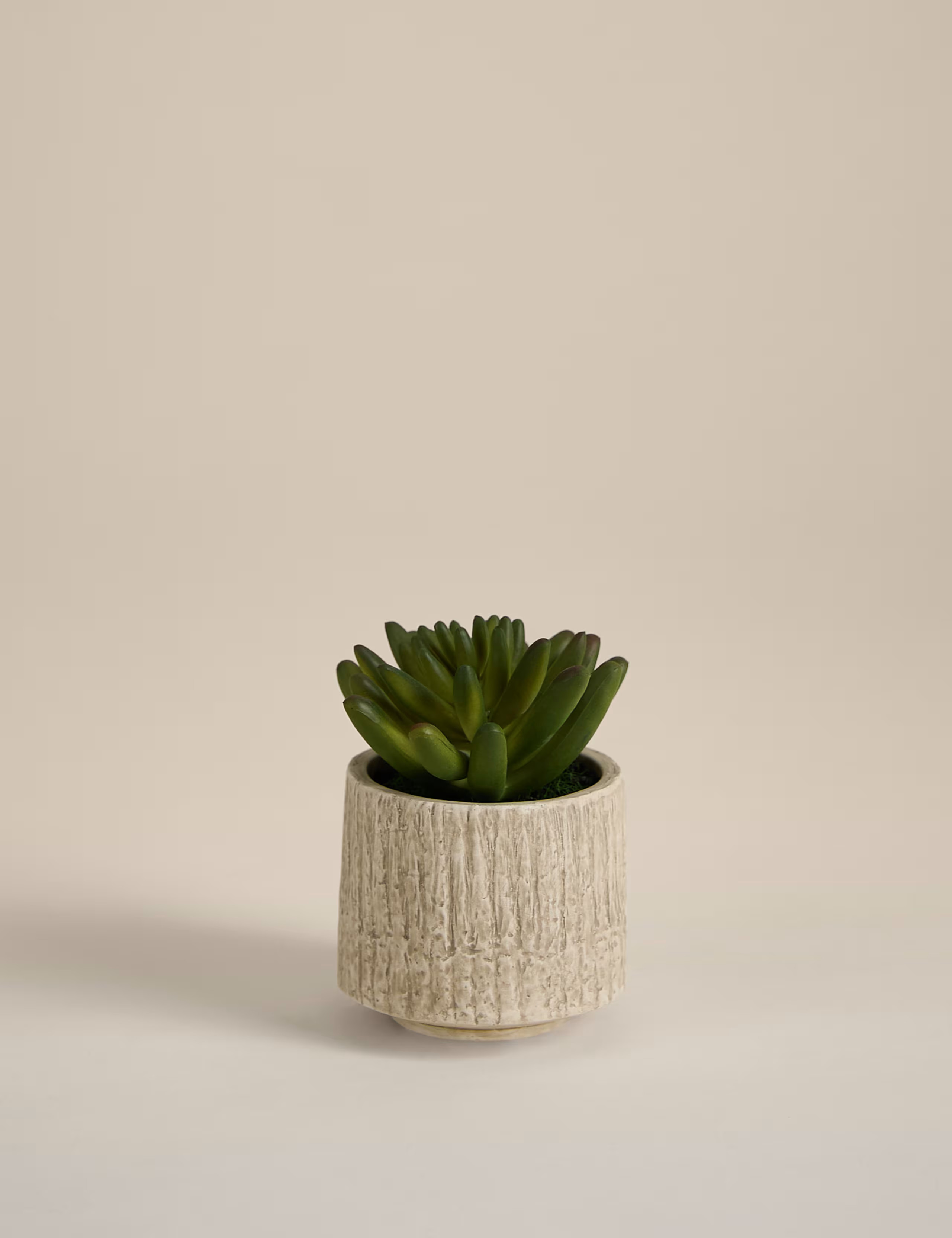 Artificial Mini Succulent in Textured Cement Pot | Marks & Spencer (UK)