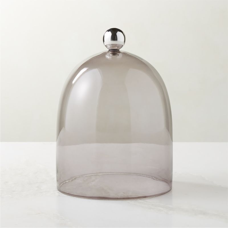 Smoked Glass Cloche with Stainless Steel Knob + Reviews | CB2 | CB2