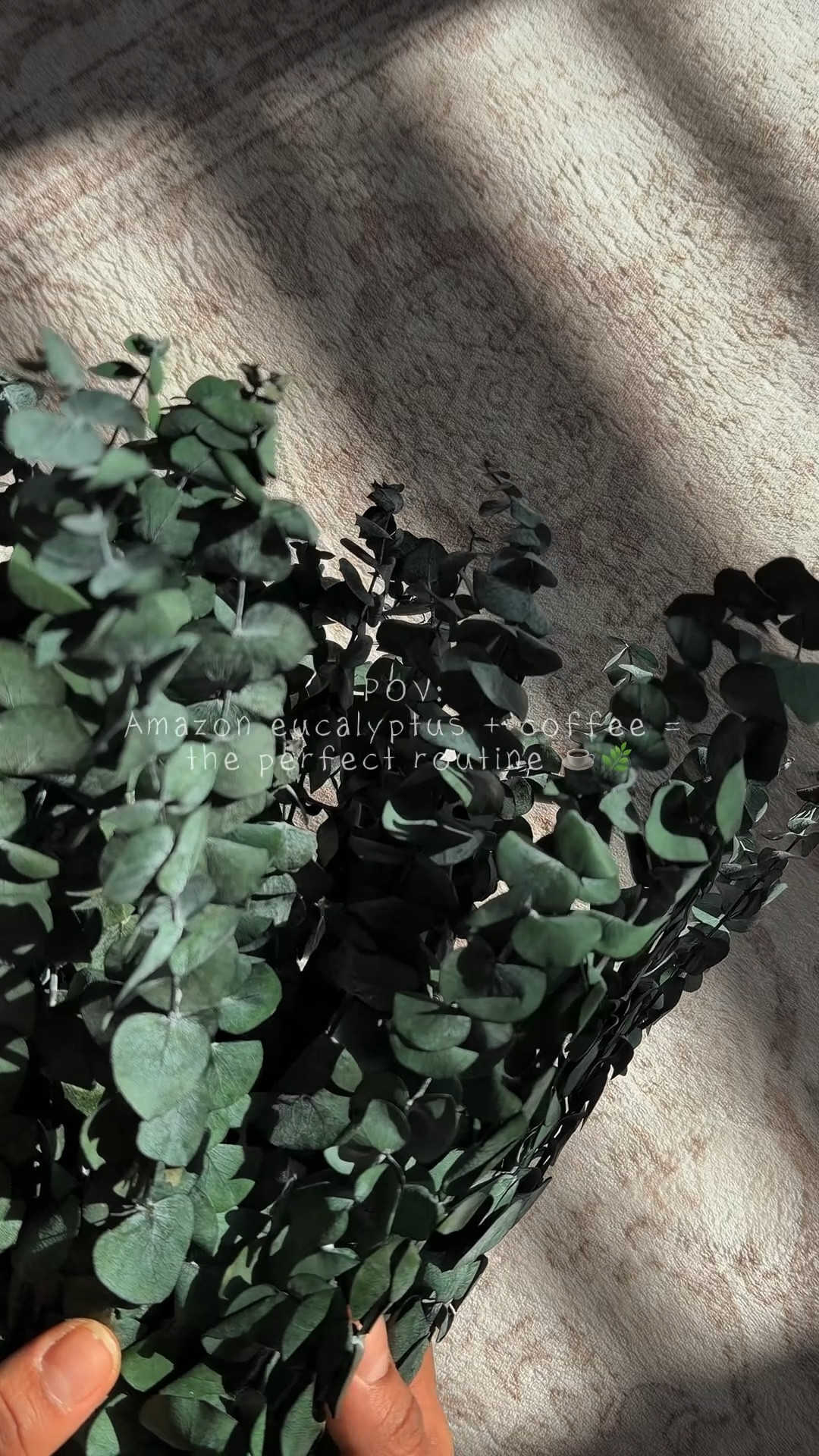 Dried Eucalyptus Stems for Home Decor 🌿

#LTKmorningroutine #LTKHome