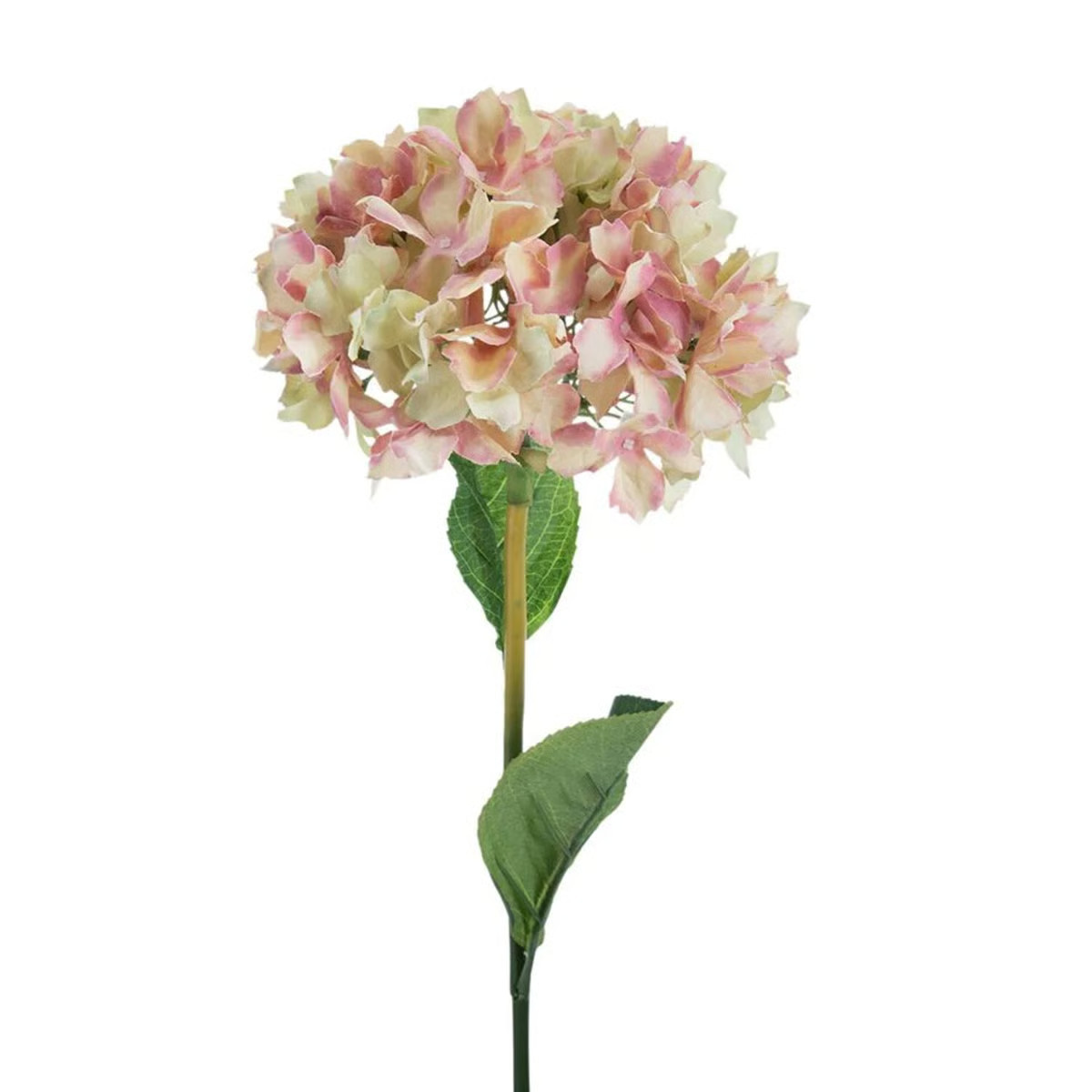 Lark Manor™ Hydrangea Stem & Reviews | Wayfair | Wayfair North America