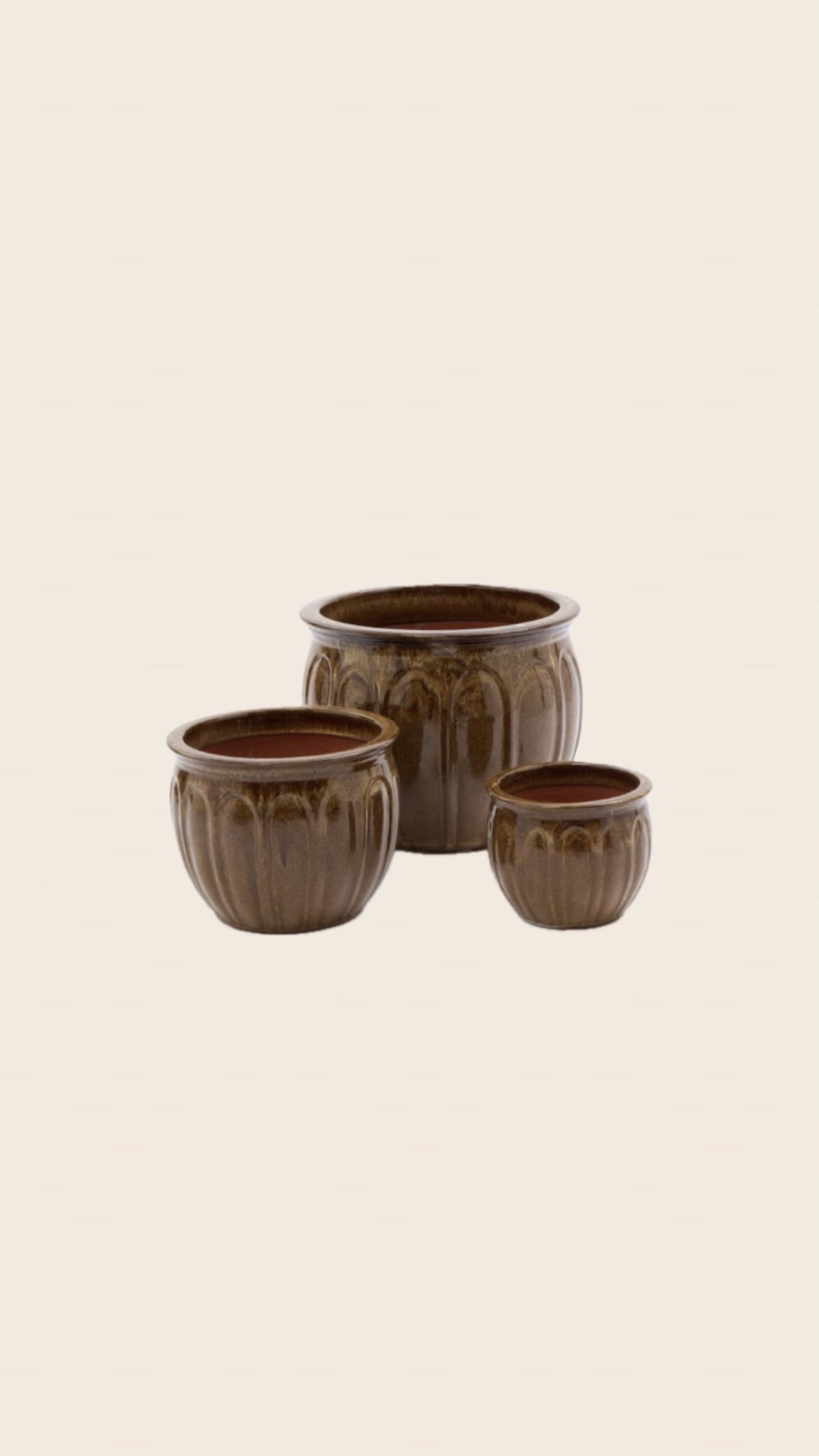 Cappuccino planter 

#LTKhome #LTKsummer #LTKspring