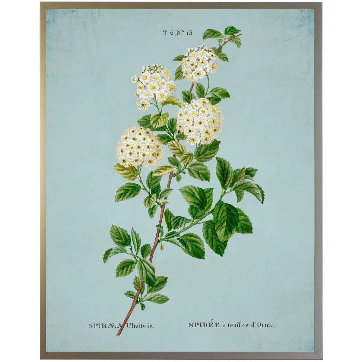 White Spirea on Blue Framed Wall Art | The Well Appointed House, LLC