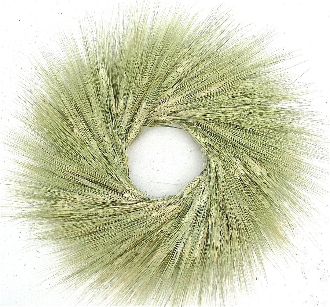 Vancortlandt Farms Natural Dried Handmade Green Wheat Harvest - Etsy | Etsy (US)