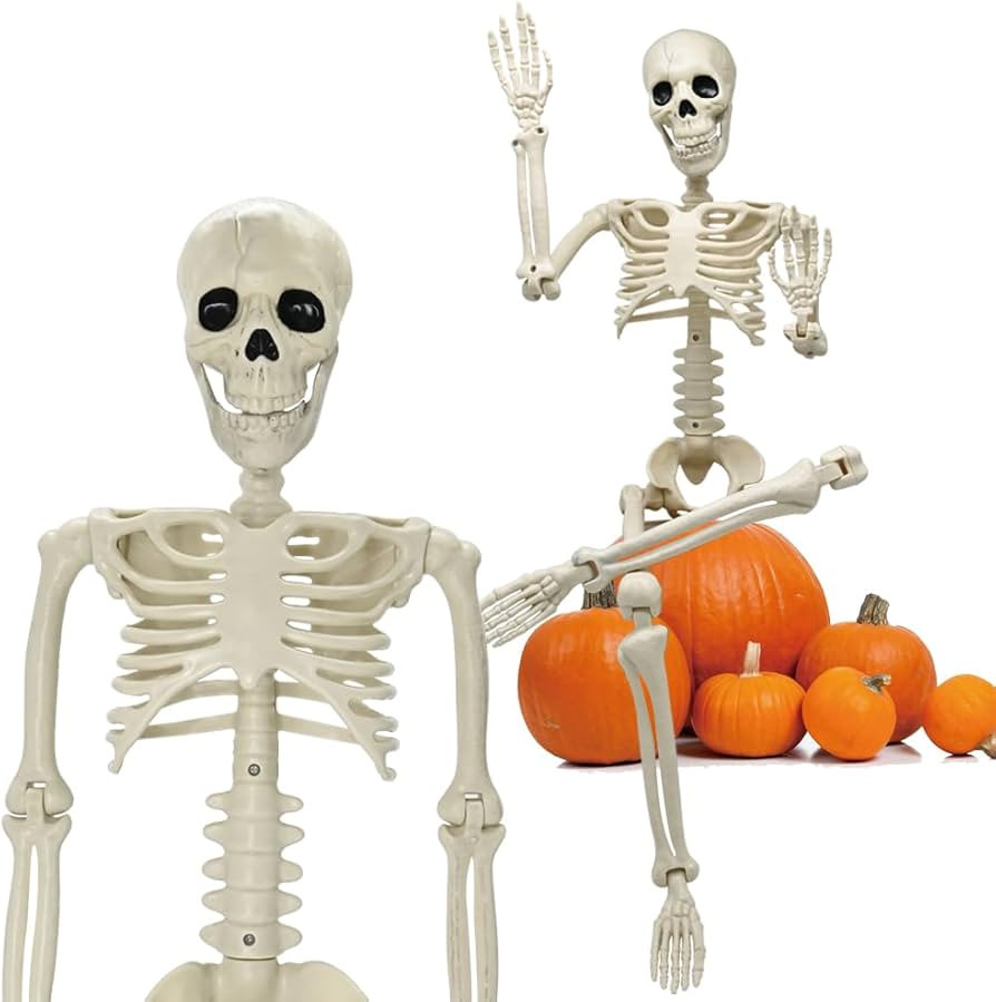 36" Halloween Skeleton Decorations, 3FT Halloween Posable Skeleton Plastic Realistic Human Full B... | Amazon (US)