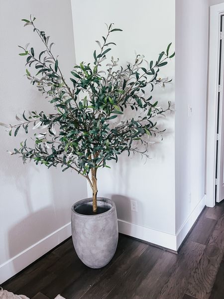 The best faux olive tree I’ve found from Amazon. This gray concrete planter also from Amazon #founditonamazon 

#LTKhome #LTKstyletip #LTKfindsunder100