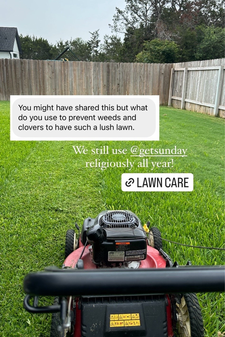 How we get our lawn lush and in shape for fun summer days with the dogs! 

We have used Sunday lawn care for years now and our lawn has never looked better! It is so lush and green! ALL of their products are pet safe which is why we love them so much. 

I linked the products we use! I also linked a product we use for weeds and to kill mosquitoes. ALL pet safe. 

And while you’re at it grab 2-3 of the Captivator fly traps!! They work AMAZING.  

Lawn care, safe lawn care, healthy lawn, green yard, pet safe products 


#LTKSaleAlert #LTKFindsUnder50 #LTKHome