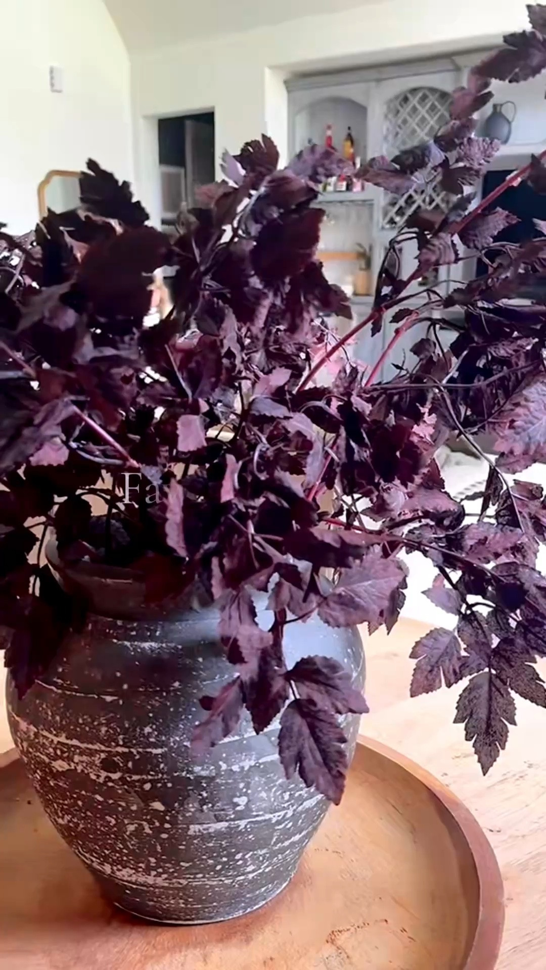 Favorite fall stems 

#LTKFallSale #LTKFindsUnder50 #LTKSeasonal