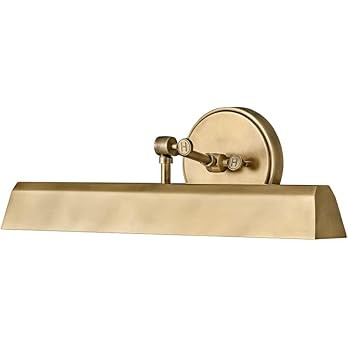 Hinkley Arti 47094HB Large Accent Sign Light - Multiple Pivot Points for Full Adjustment as a Sco... | Amazon (US)