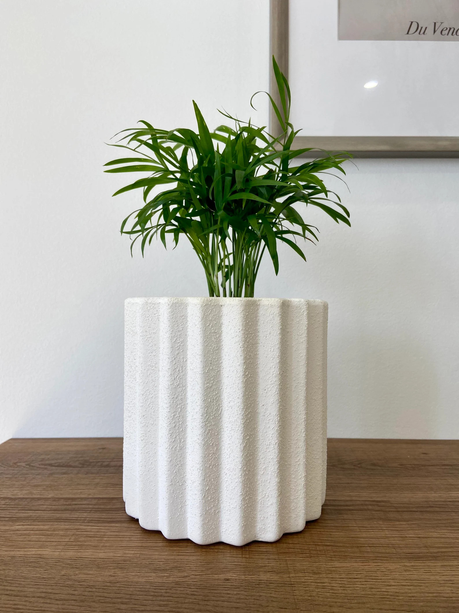 White Column Ceramic Planter: Modern Home Decor | Etsy (US)
