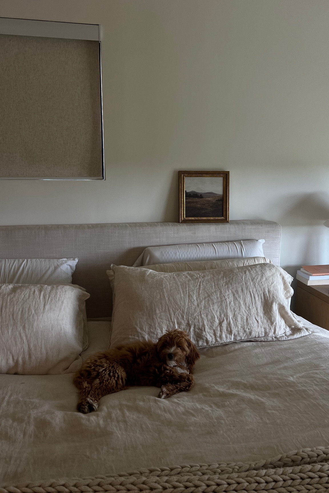 Lucy girl ❤️ bedding is zara so i’ll link similar ✨ 
#LTKStyleTip 

#LTKFindsUnder100 #LTKHome