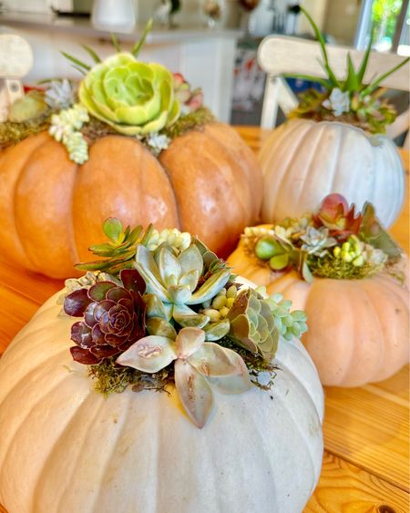 Succulent pumpkins are a beautiful and easy fall craft. They make beautiful fall decorations , and also look great as a Thanksgiving centerpiece.  I have all the supplies listed below.

#LTKHalloween #LTKSeasonal #LTKhome