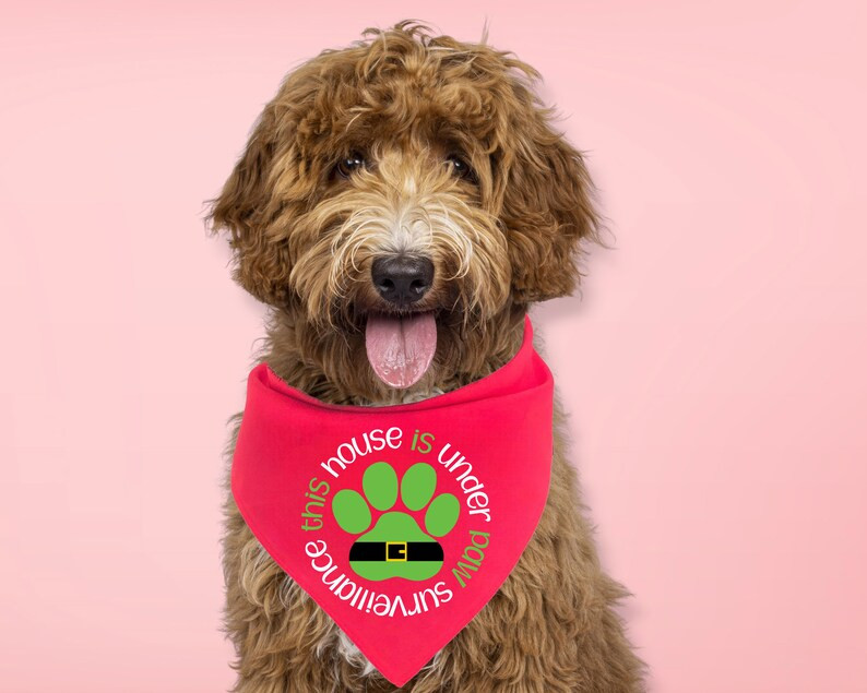 Christmas Dog Bandana Funny Dog Quote Bandana Dog Christmas - Etsy | Etsy (US)