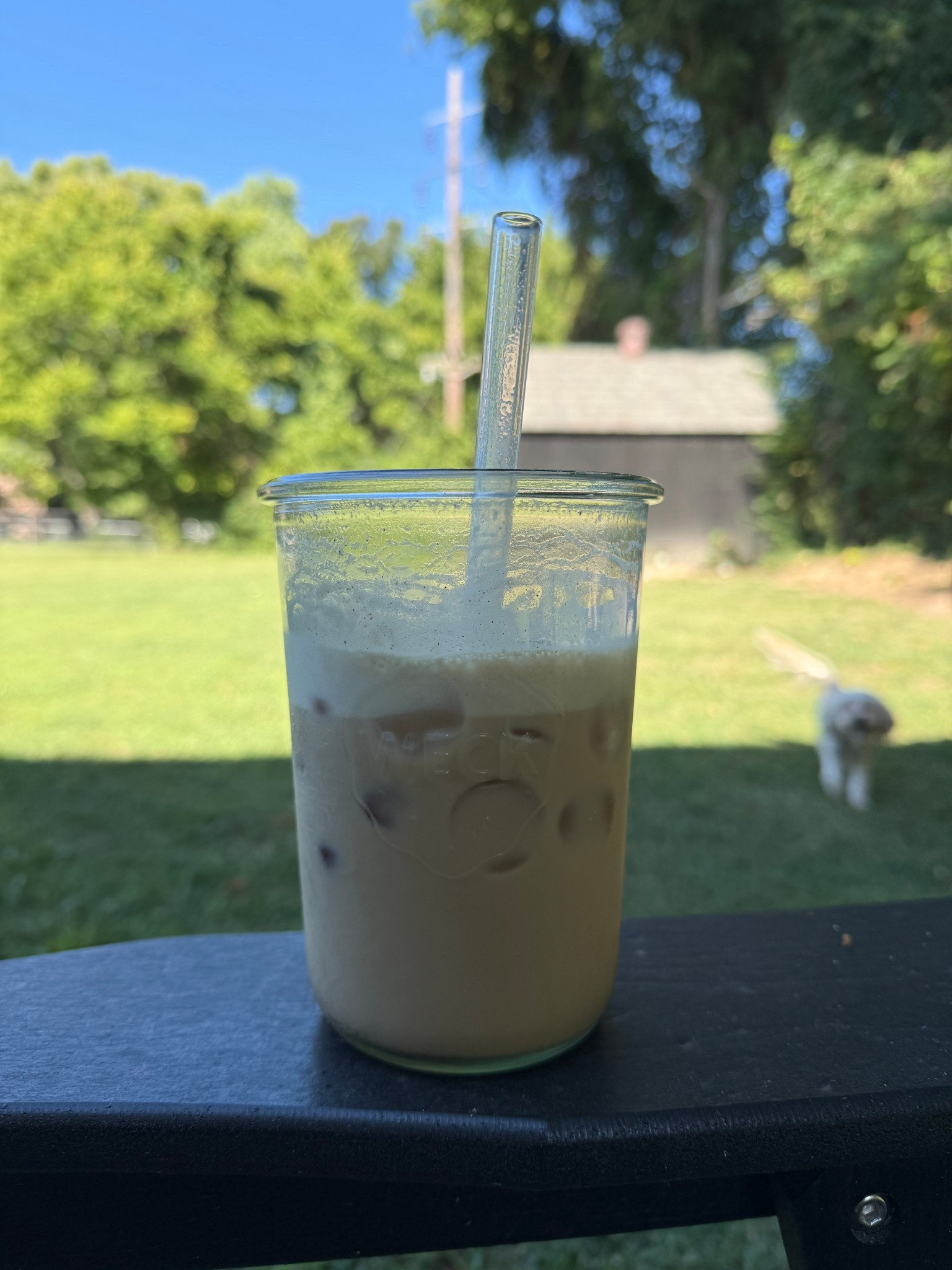 weck jar & glass straw - perfect for iced protein coffee ☕️ 

#LTKSeasonal #LTKFindsUnder50 #LTKHome