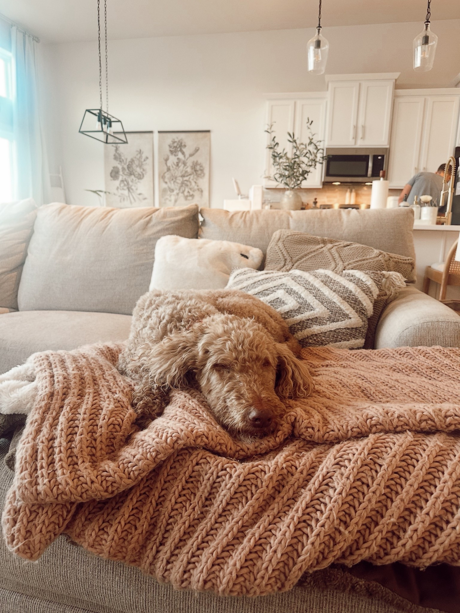 linking some of our living room decor ✨🧸💓🫧 @Wayfair 

#LTKU #LTKHome #LTKstorytime