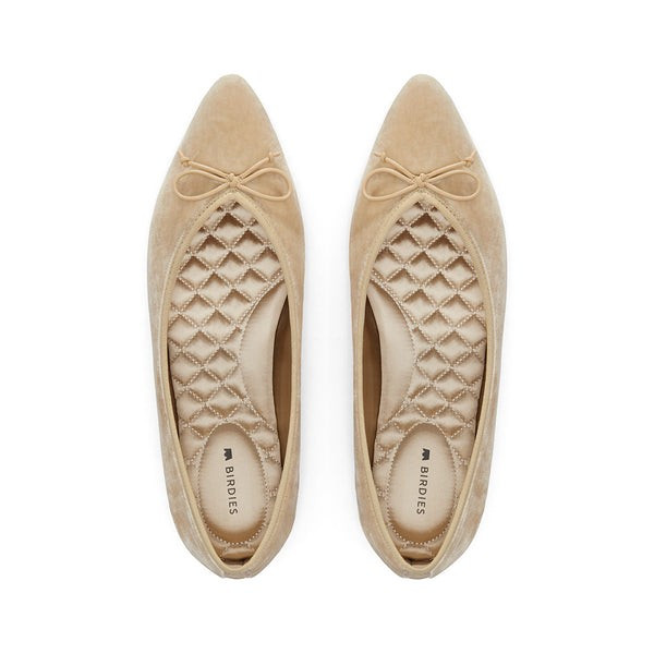 the goldfinch | BIRDIES