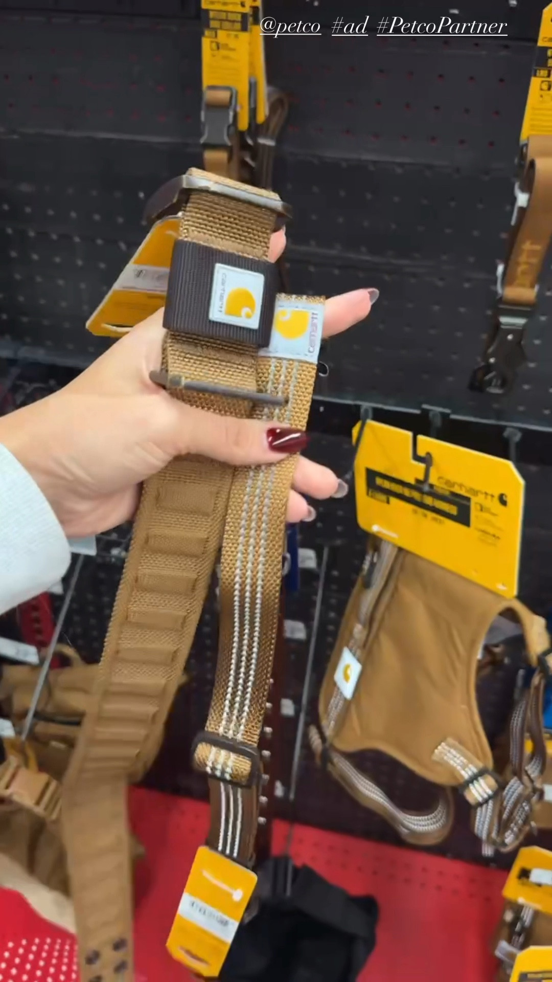 We found so many cute pet gifts at @petco - love these collars! #ad #PetcoPartner 

#LTKKids #LTKHoliday #LTKGiftGuide