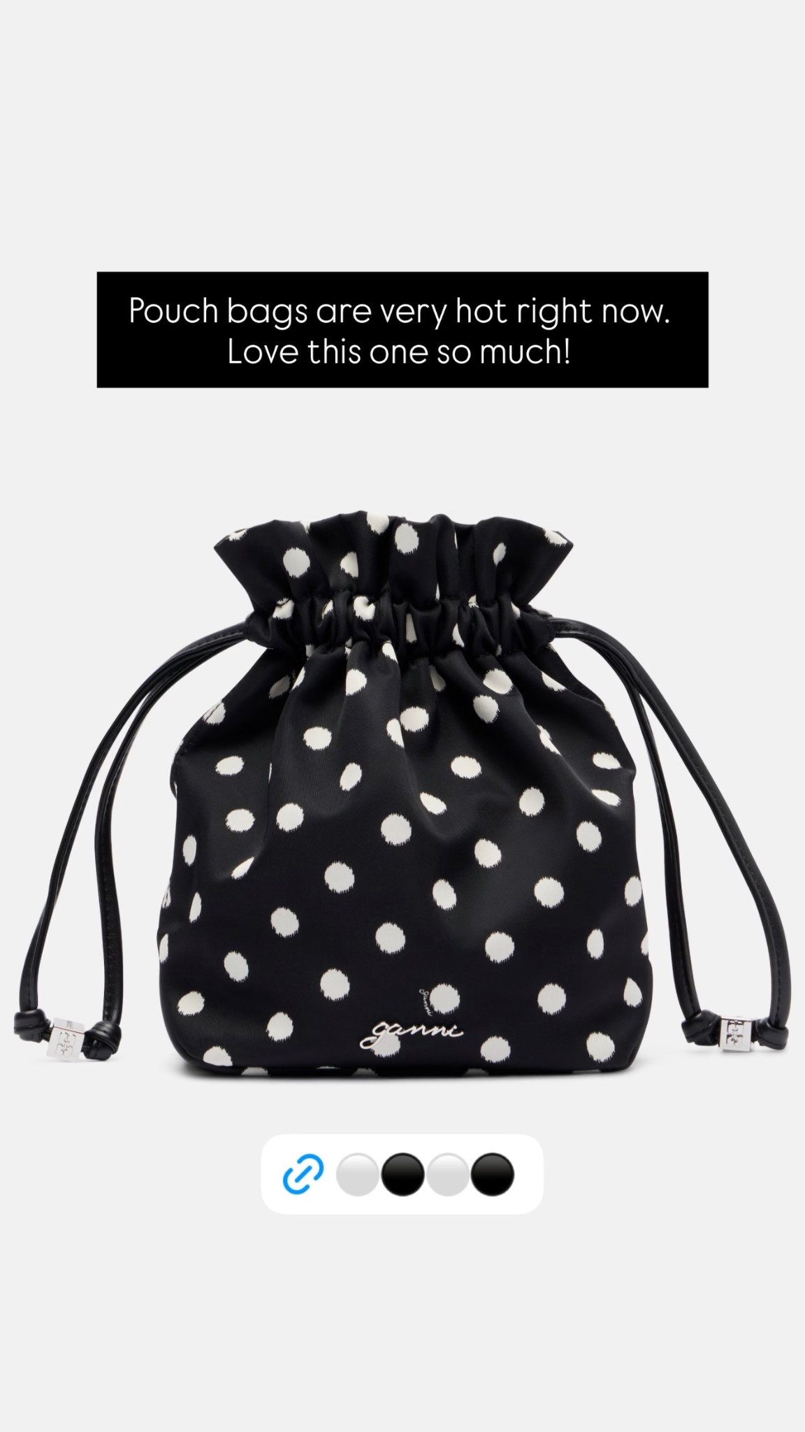 Pouch bags are very hot right now. Love this one so much!