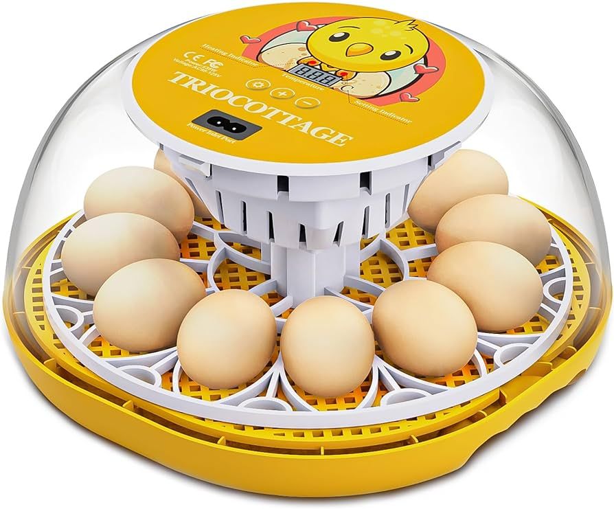 Egg Incubator-Incubators for Hatching Eggs, an Automatic Egg Turning Incubator for Chicken and Qu... | Amazon (US)