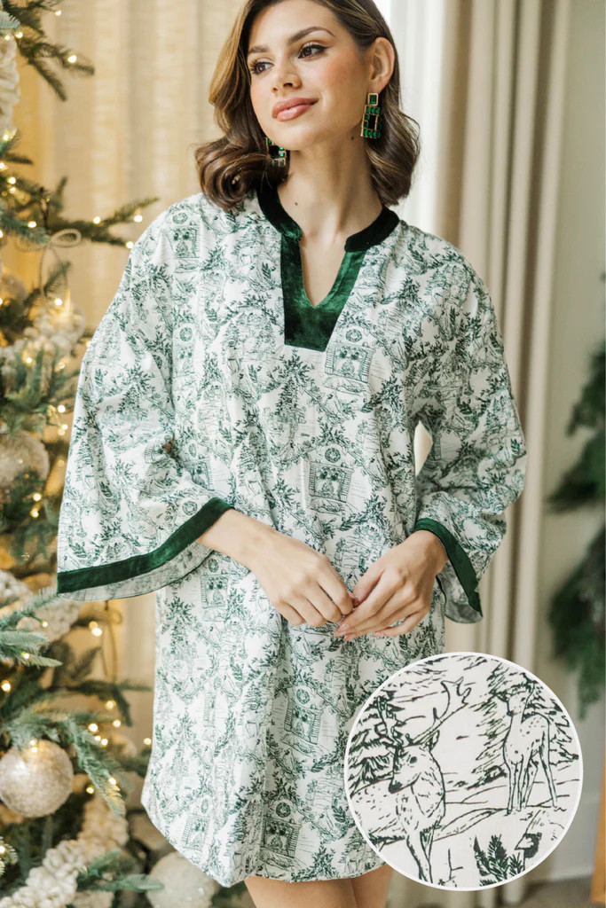 All Your Wishes Green Toile Dress | The Mint Julep Boutique