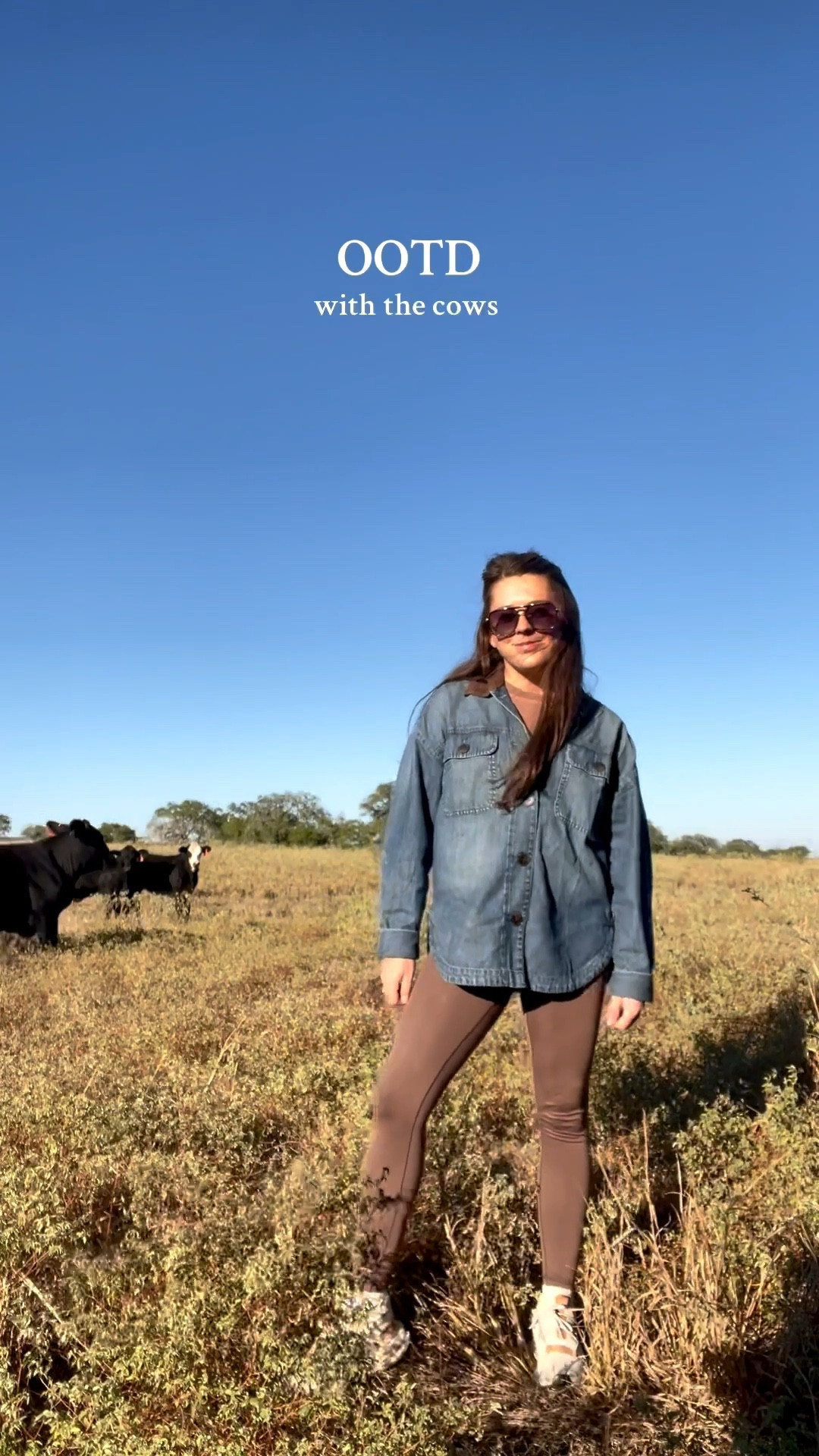 The perfect lightweight denim shacket 🤎 on sale!!

#LTKSeasonal #LTKPetite #LTKSaleAlert