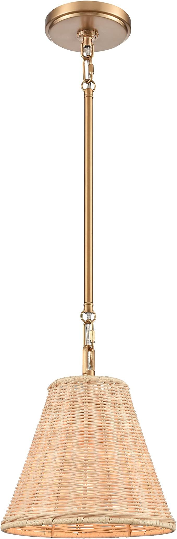 Elk Home EC89755/1 Rydell 9'' Wide 1-Light Mini Pendant with Brushed Gold and Rattan | Amazon (US)