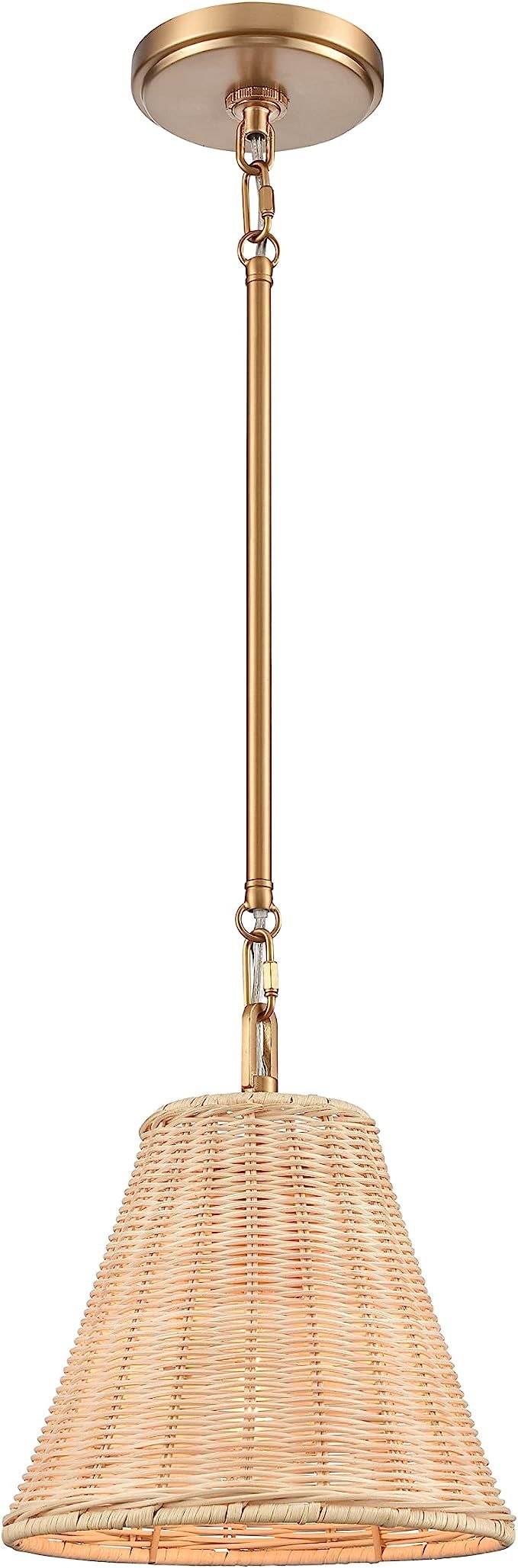 Elk Home EC89755/1 Rydell 9'' Wide 1-Light Mini Pendant with Brushed Gold and Rattan | Amazon (US)
