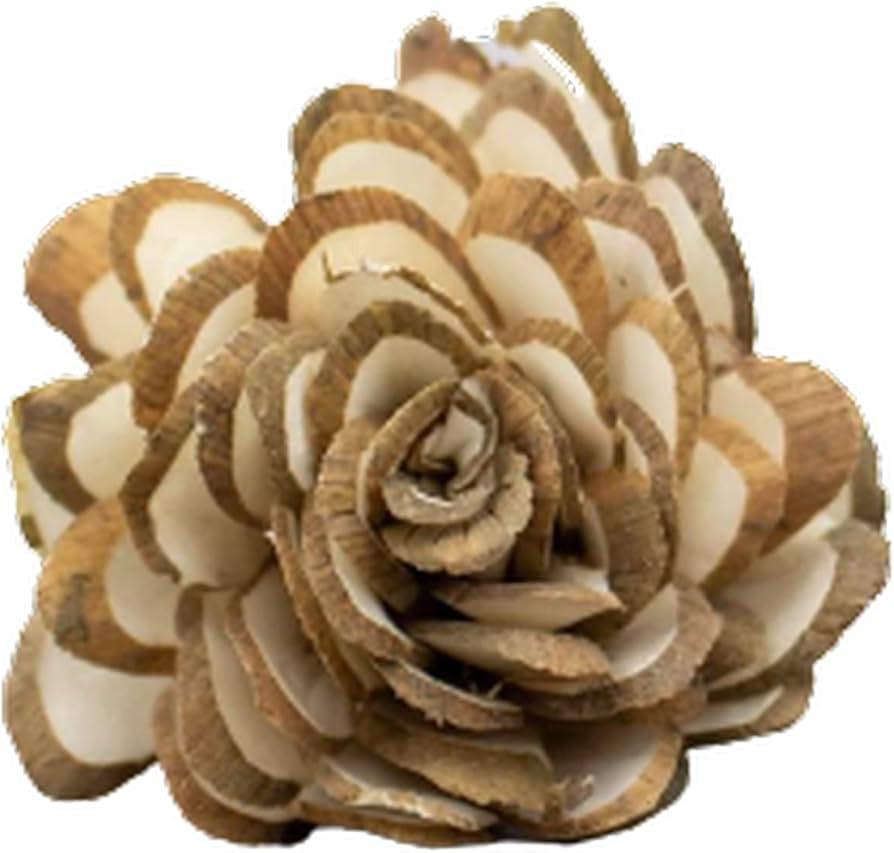Sola Wood Flowers Raw 2" Almond (10 Pack) | Amazon (US)
