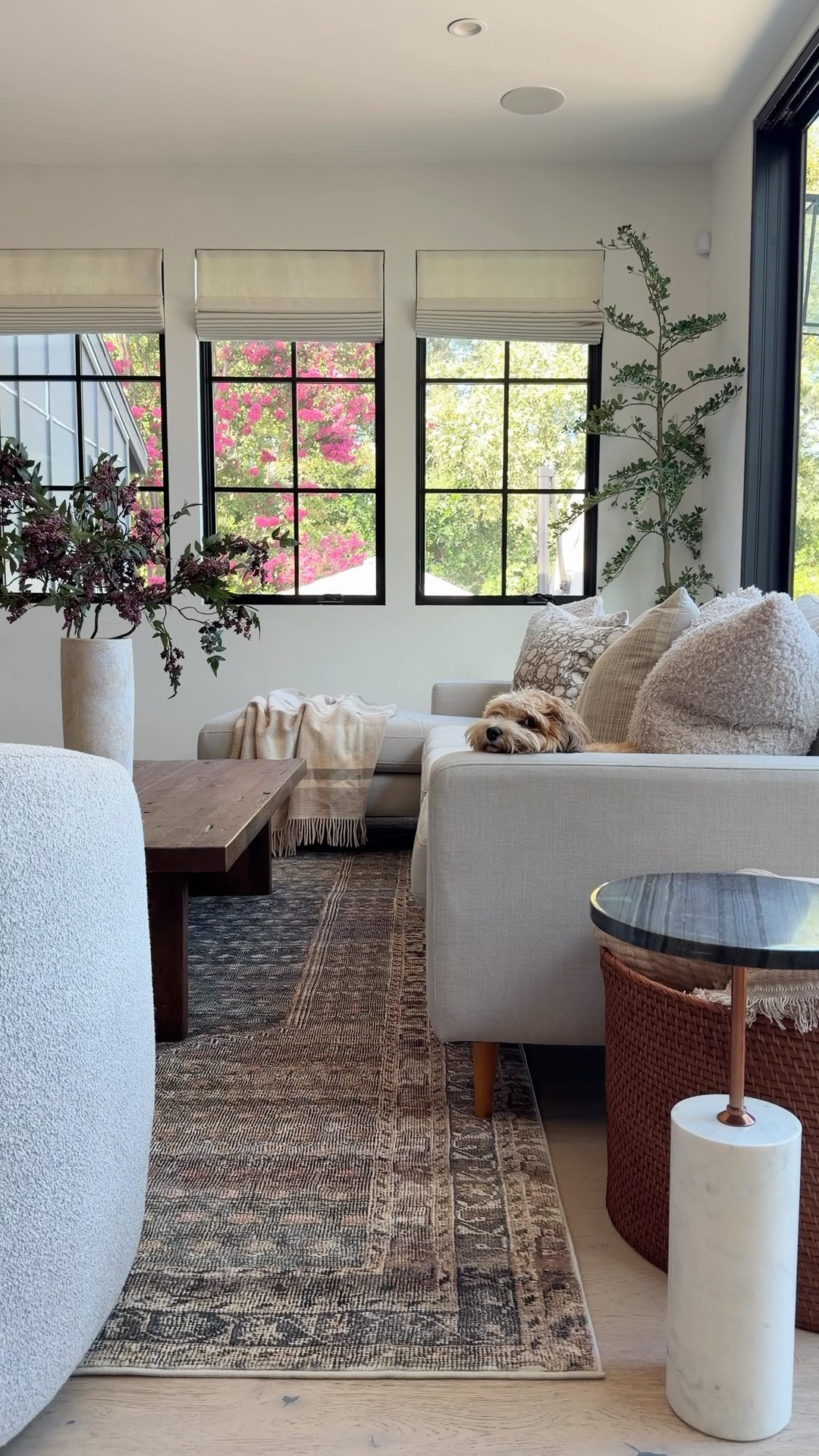 This is the newest gorgeous rug from the @heidicaillierdesign and @joonloloi collection. I love how it adds interest to our neutral family room. There’s a nice pattern to it without being too busy and I just love the contrast it adds to the space. Such a beautiful collection! Also it’s insanely soft!! This is the Zinnia CloudPile™ Printed Rug
Ink / Multi

#LTKSaleAlert #LTKHome