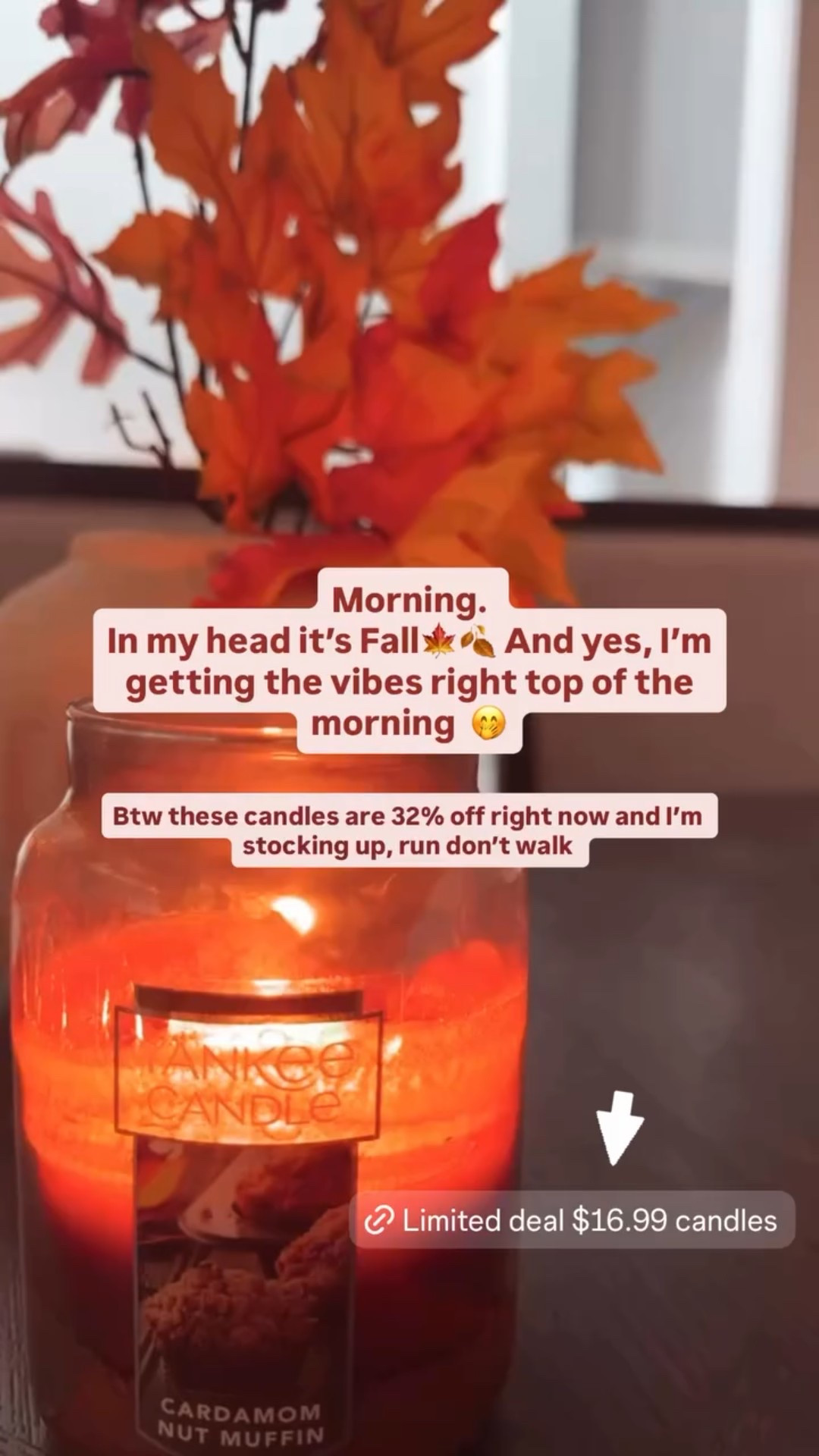 🍂 Cozy candle season is here! These fall candles are 32% off right now 🕯️✨ Perfect scents for autumn vibes. Don’t wait to stock up on your favorite Yankee Candle fall deals before they sell out!

#LTKFallSale #LTKSaleAlert #LTKSeasonal