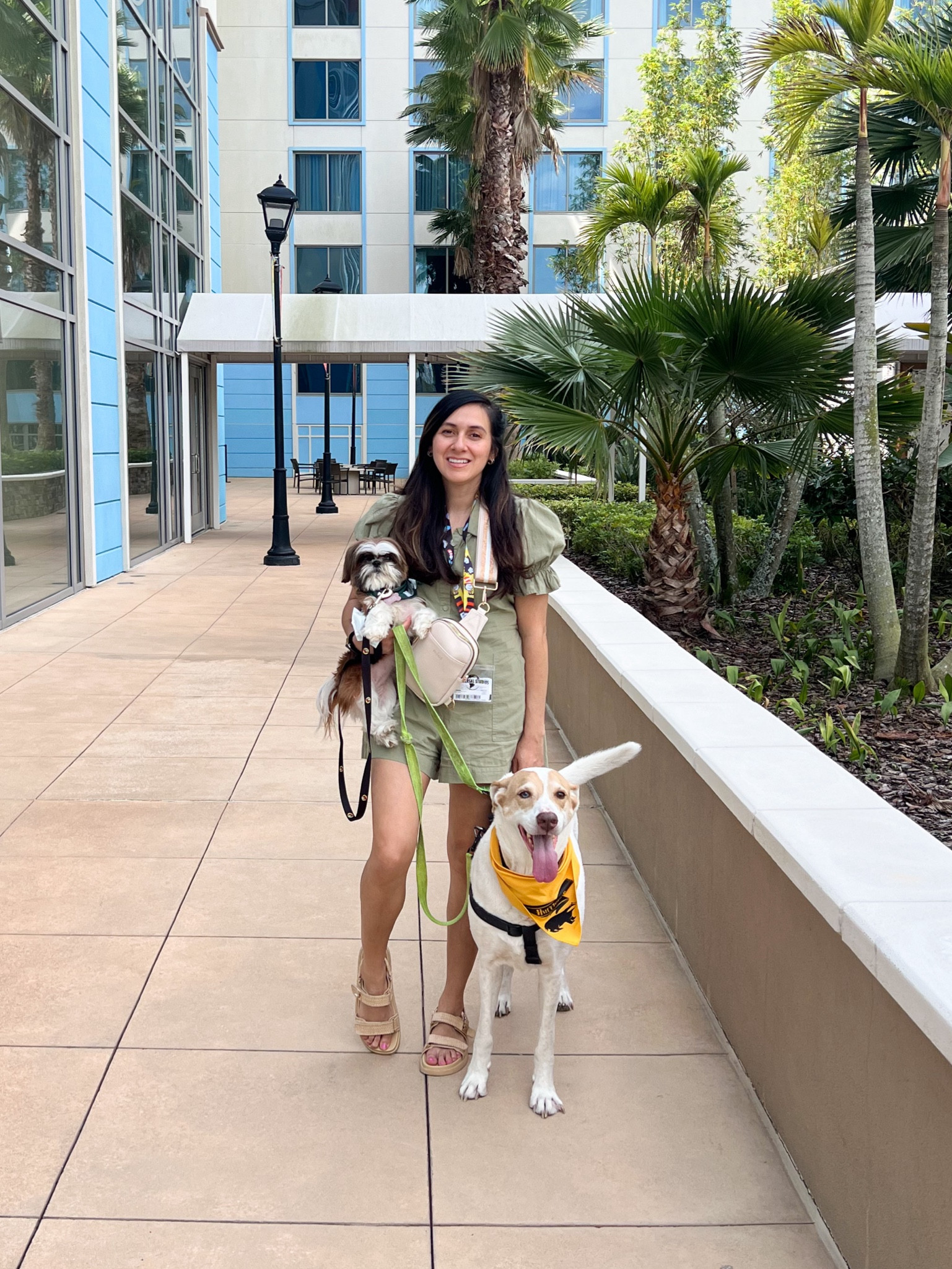 My little Resort Dogs 💕 
Did you know Lowes Sapphire Falls will allow you to bring your dogs to the resort? They are allowed anywhere except the pool and the gym. Bug and Bones enjoyed their stay at Lowes Sapphire Falls at Universal Studios! We got to go on scenic walks, they got treats everyday from the employees, they got so much attention. They do love the attention 🤣 They were so chill all day while we enjoyed the parks. We made sure they got their walks ever time we got back… they even got midday walks. Our dogs had so much fun. 

P.S. Bug is an absolute Slytherin and Bones- a true Hufflepuff
 BrandiKimberlyStyle 

#LTKstyletip #LTKover40