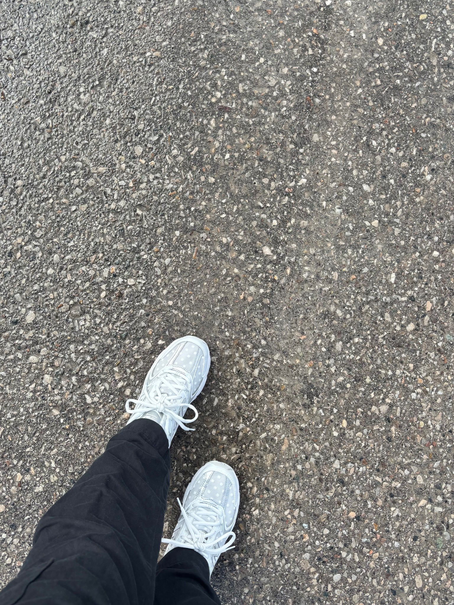 It’s the polka dots for me 🥹

#LTKcanada #LTKfitness