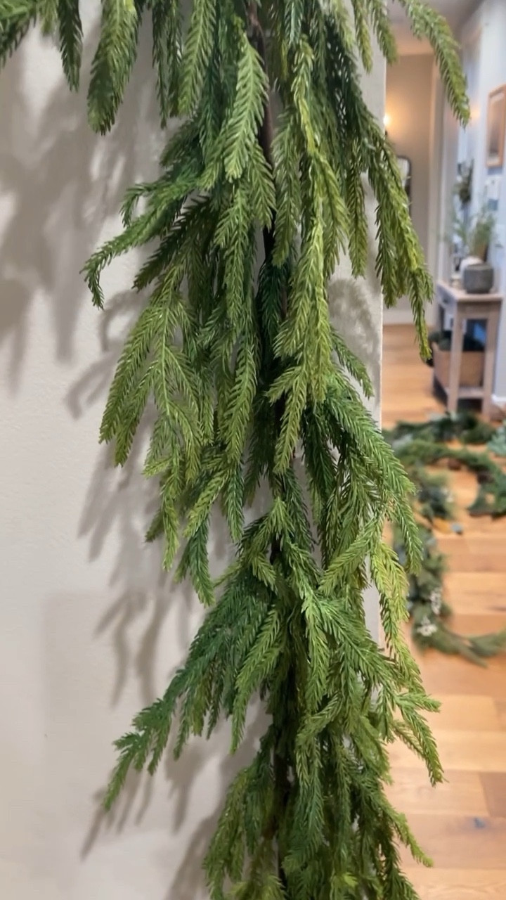 These are the 3 garland we use every year! Norfolk, eucalyptus and pine with white berries! 

Holiday decor 

#LTKSeasonal #LTKhome #LTKHoliday