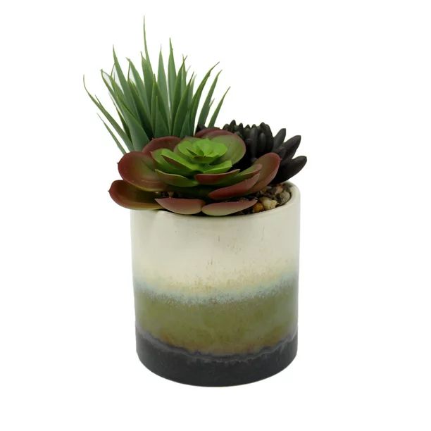 Mainstays 7.5" Mixed Artificial Succulent Arrangement in Ceramic Planter, Cream White, Brown, Gre... | Walmart (US)