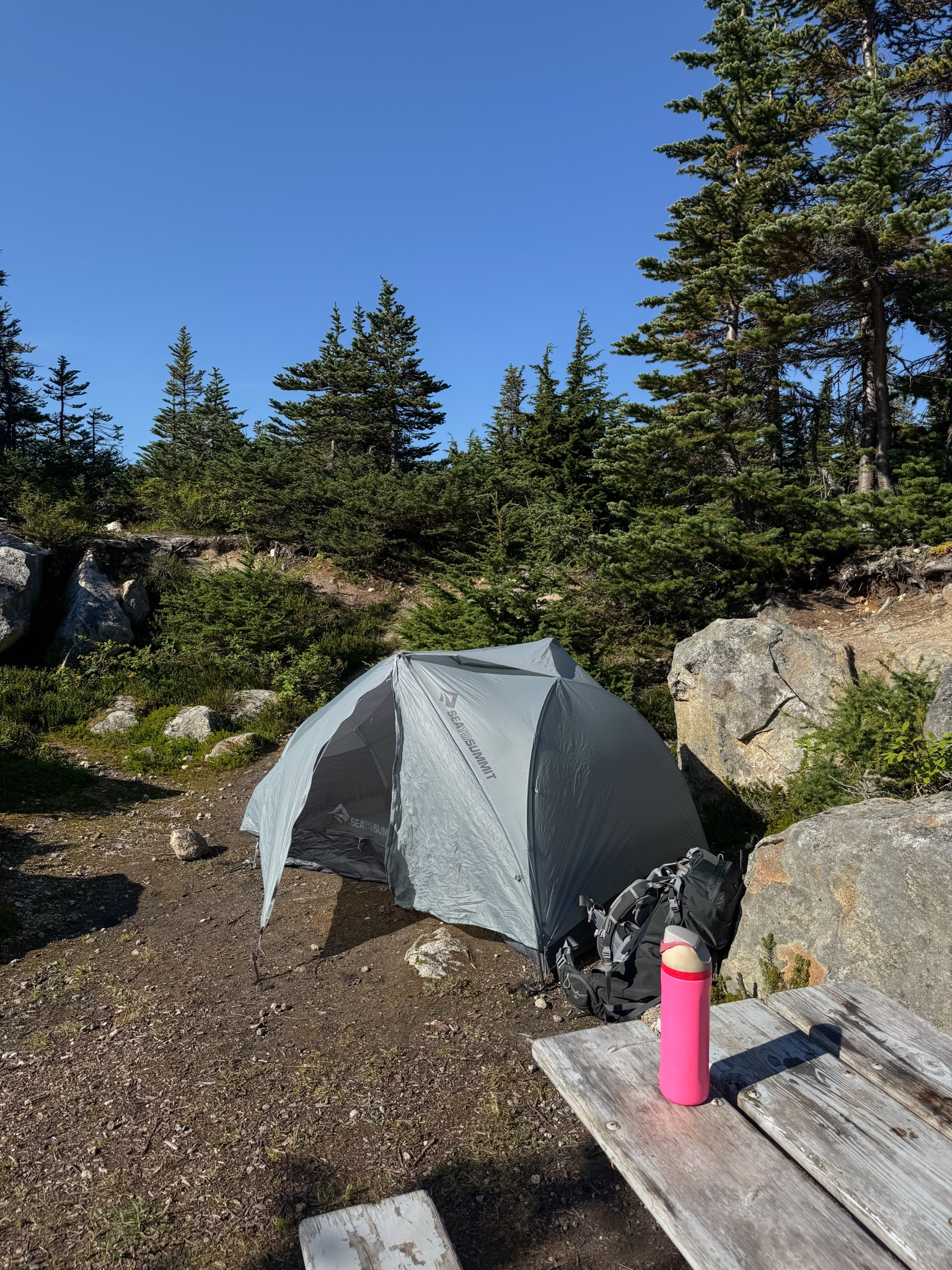 This water bottle is an extension of myself at this point🤣 I take it everywhere!

#LTKfitness #LTKActive #LTKtravel