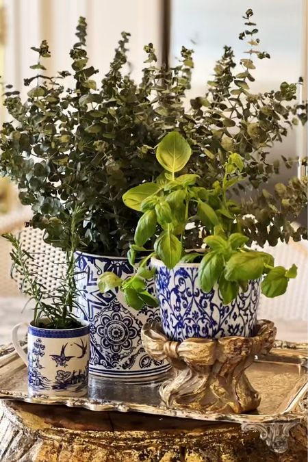 Chinoiserie planters | blue and white | home decor 

#LTKhome #LTKstyletip