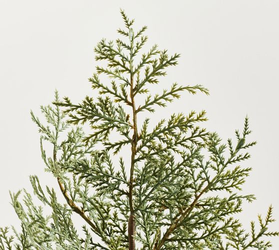 Faux Potted Cedar Trees | Pottery Barn (US)