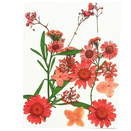 Dried Flowers For Resin Nail Art 3D Dry Flowers For Makeup Small Tiny Dried Flowers For Nail Art Lit | Walmart (US)