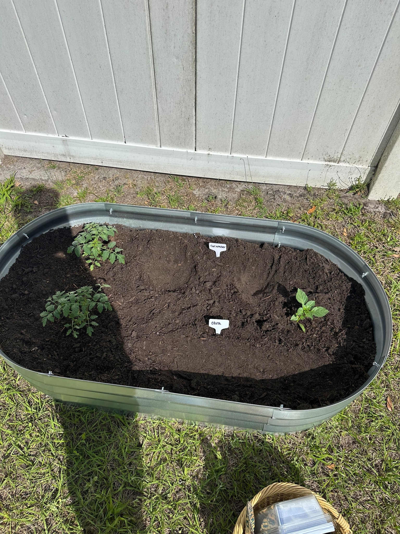 Loving these super easy galvanized garden beds 

#LTKSeasonal