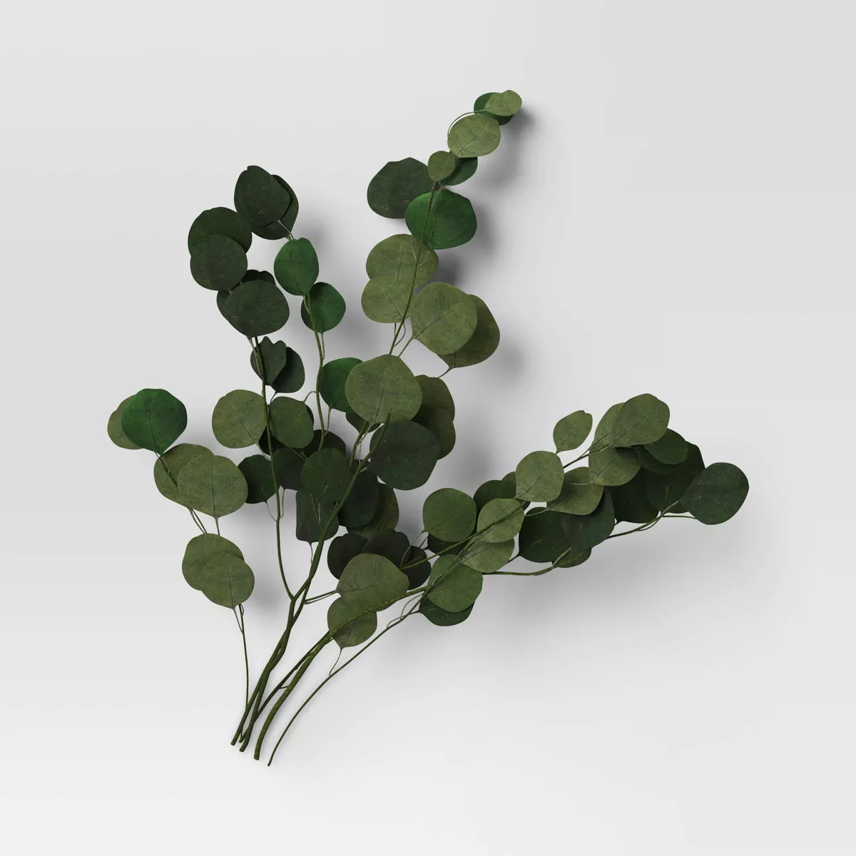 Preserved Eucalyptus Bundle - Threshold™ | Target