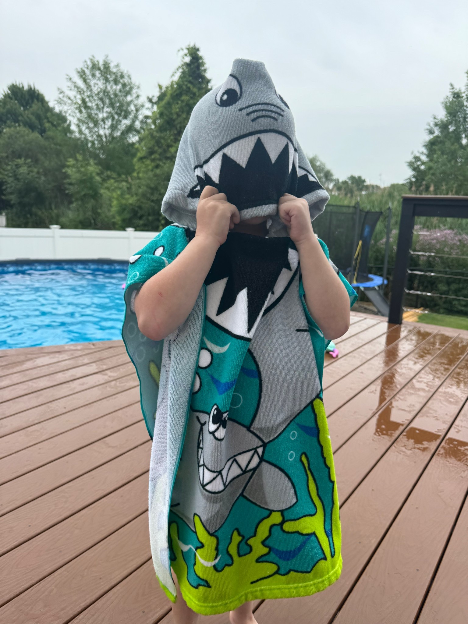 Kids pool towel

#LTKSwim #LTKFamily #LTKKids