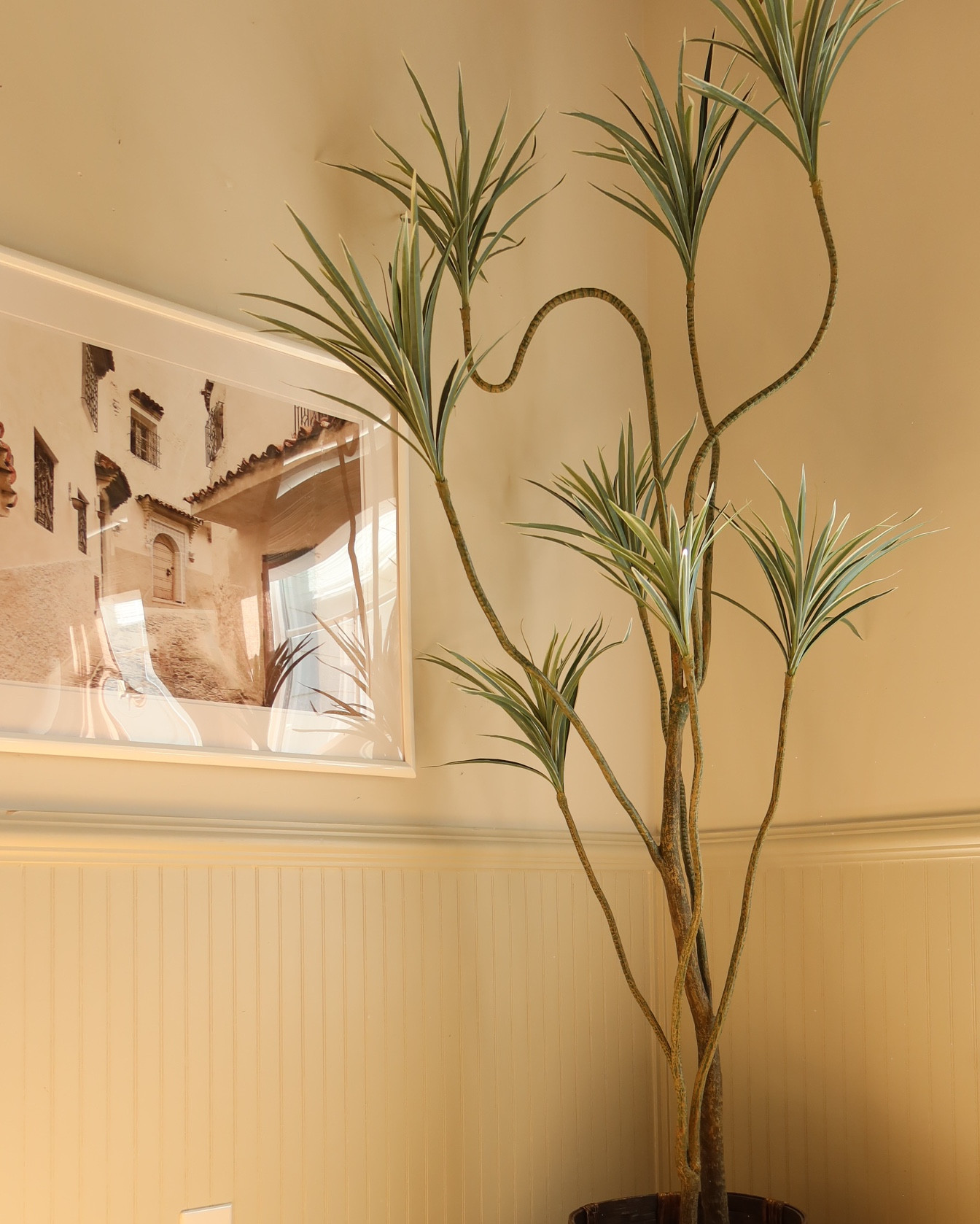 The cutest Dracaena tree from west elm! 

#LTKHome #LTKSeasonal #LTKSaleAlert