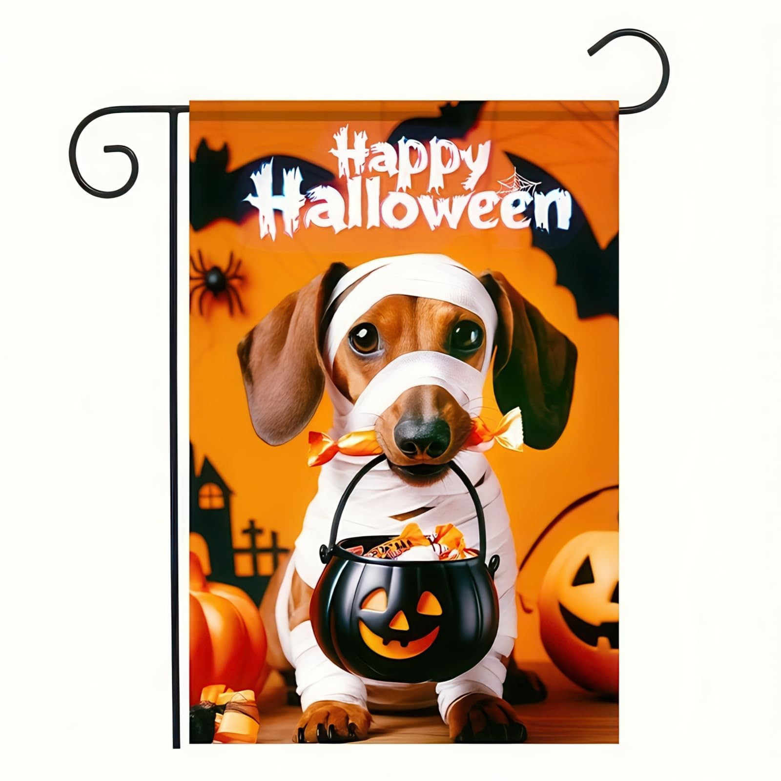 Halloween Decorations Outdoor Garden Flag 12x18 Inch Double Sided Dachshund Dog Pumpkin Ghost Ske... | Amazon (US)