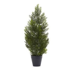 2ft. Potted Mini Cedar Pine Tree | Michaels | Michaels Stores