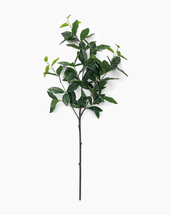 Loving these faux laurel leaf branches are so life-like! 

#LTKstyletip #LTKhome #LTKsalealert