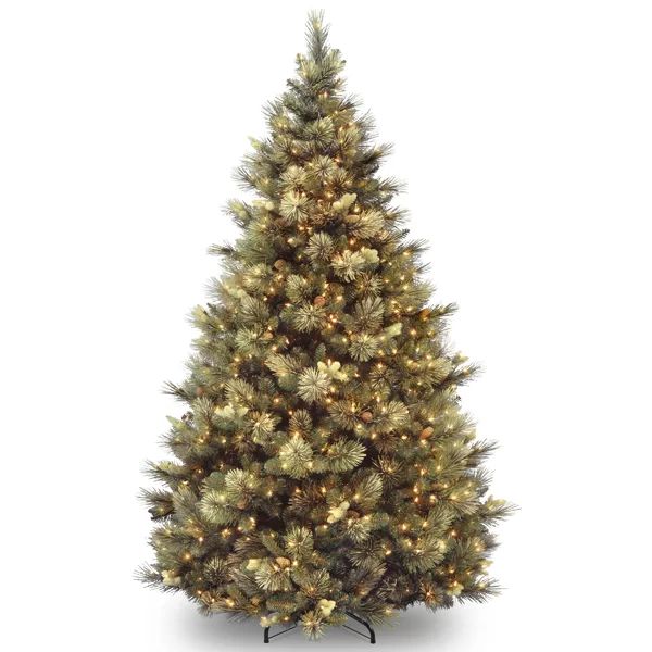 Carolina Pine Green Artificial Christmas Tree with Clear/White Lights | Wayfair North America